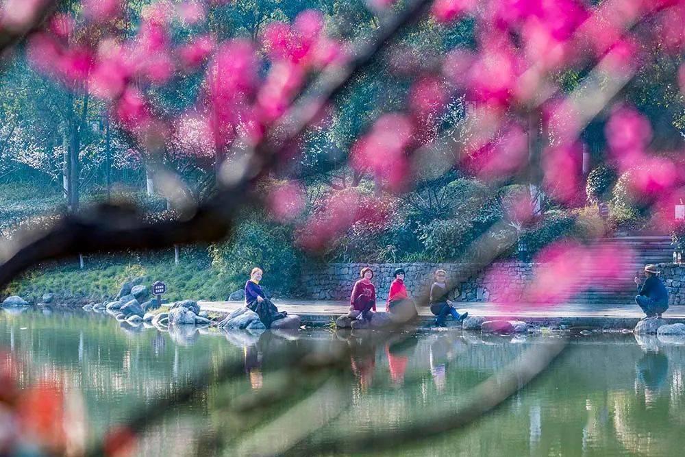 音频 | 格隆汇1.29盘前要点—港A美股你需要关注的大事都在这