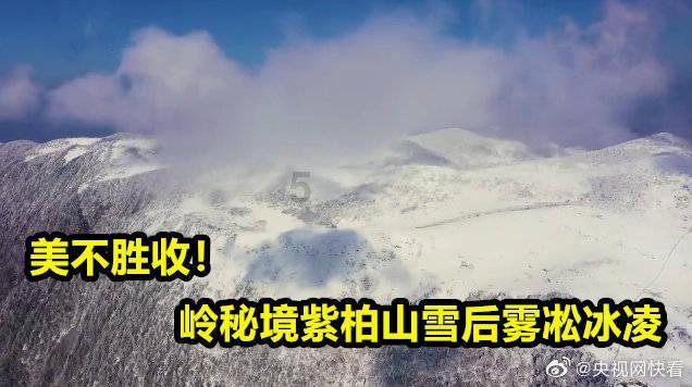脱逃者
