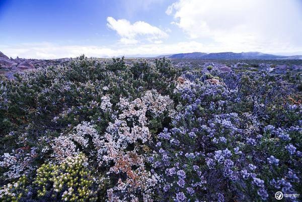 美议员限制海外生物技术公司新提议令CDMO板块大跌,哪些企业受影响