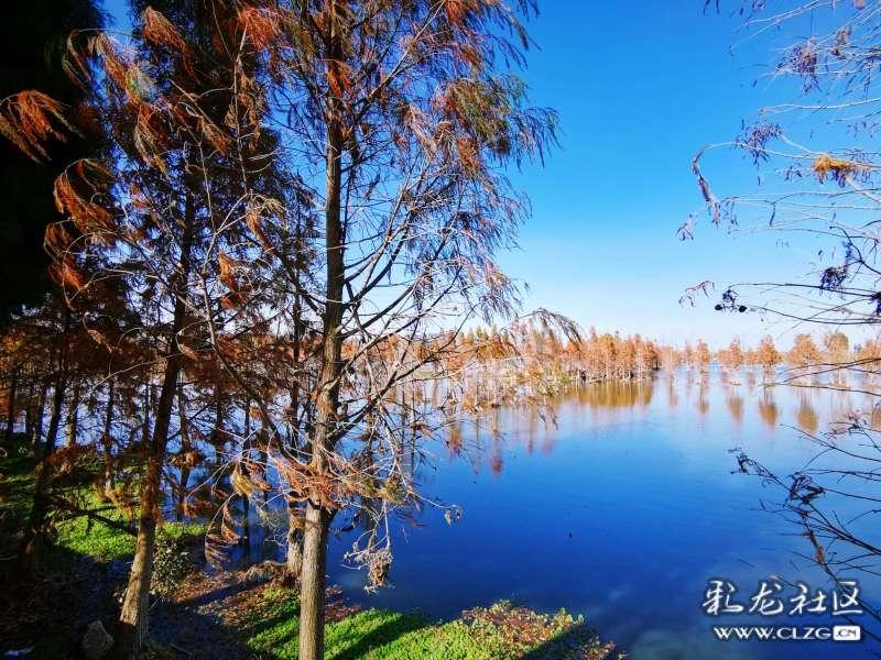五彩泡沫