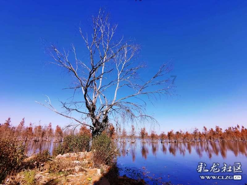 【旅游维权案例】酒店停电无紧急照明 女童旅游住宿摔坏四颗牙