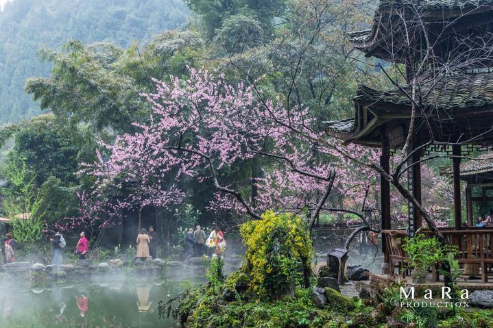 疯狂球球极限求生