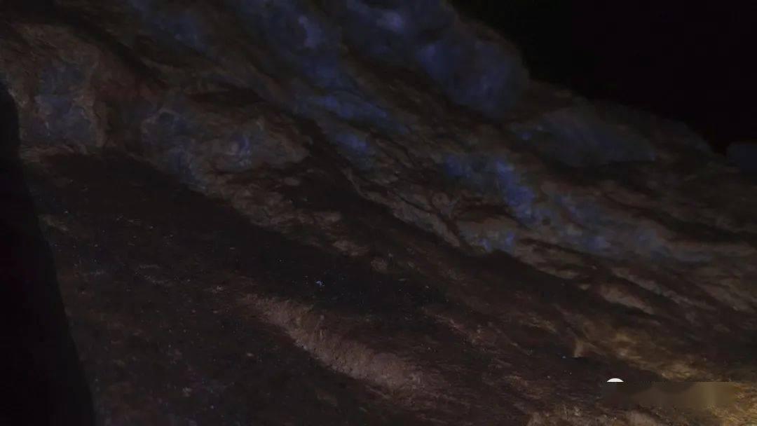 虫虫助手下载