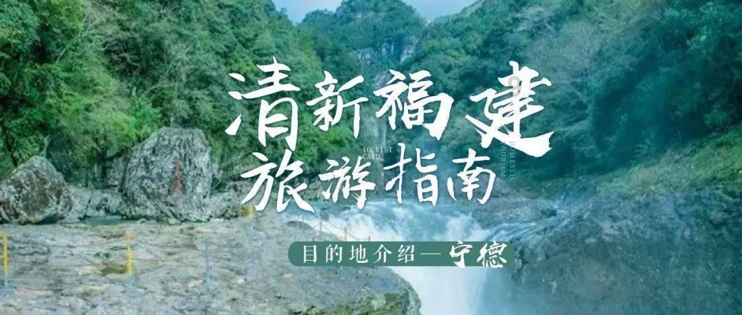 逗小猴开心系列172