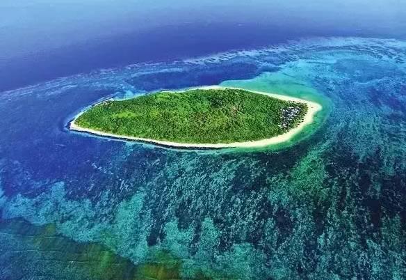 新春灯会“花式”点亮文旅经济