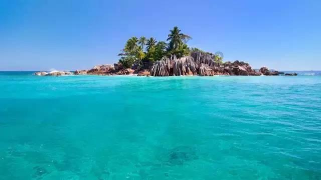 公主的夏季舞会