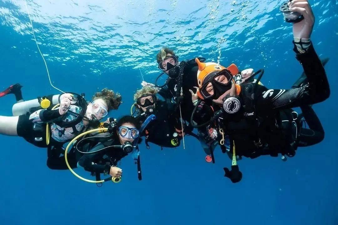 探索如何变白,尽享知识星球之旅