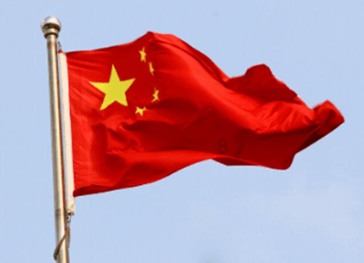 美妙森林找不同
