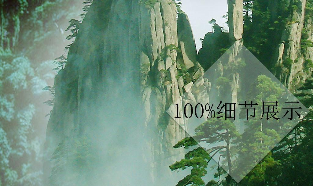虫虫助手下载