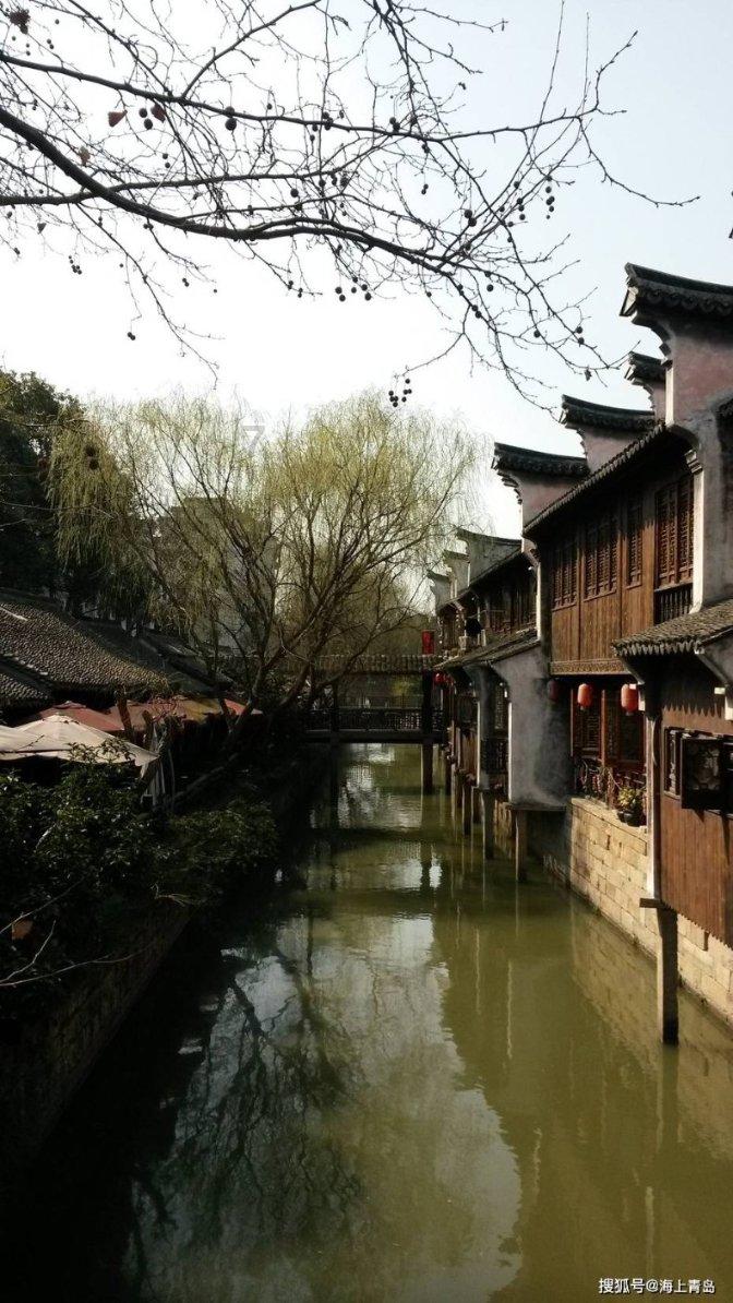 猫咪偷喝主人饮料,可爱的表情被主人拍下